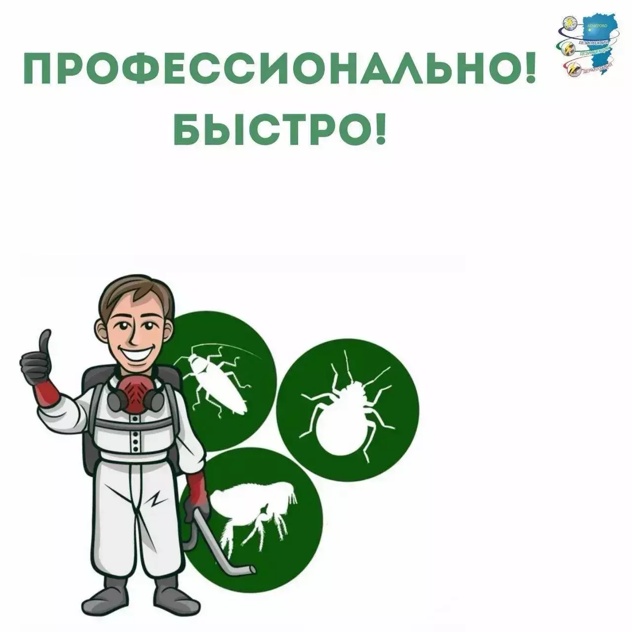 Дачный сезон в разгаре: какие угрозы ждут вас на участке и как с ними бороться